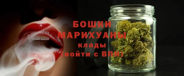 стаф Белокуриха
