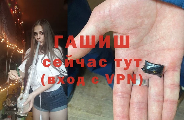 стаф Белокуриха