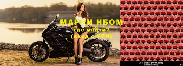 стаф Белокуриха