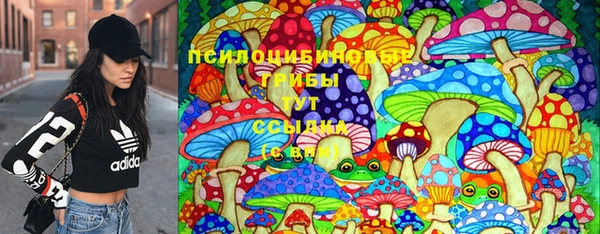 стаф Белокуриха