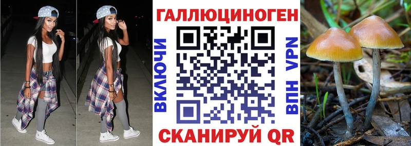 Галлюциногенные грибы GOLDEN TEACHER  Купить  Моршанск 